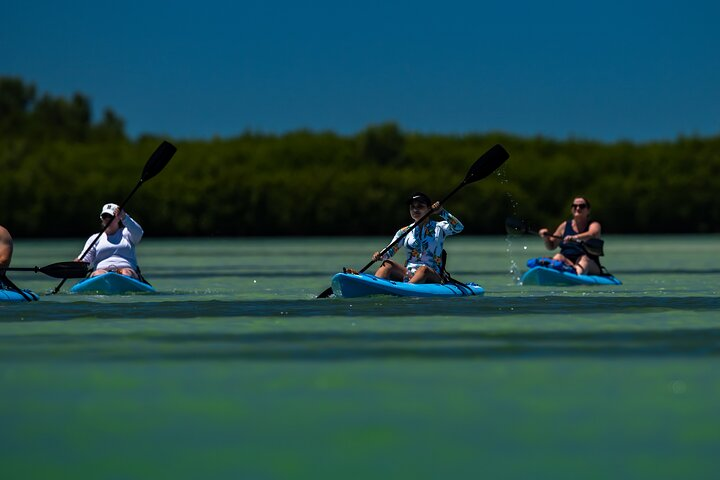 Kayak Tour at Shell Key with Capt Yak - Photo 1 of 6